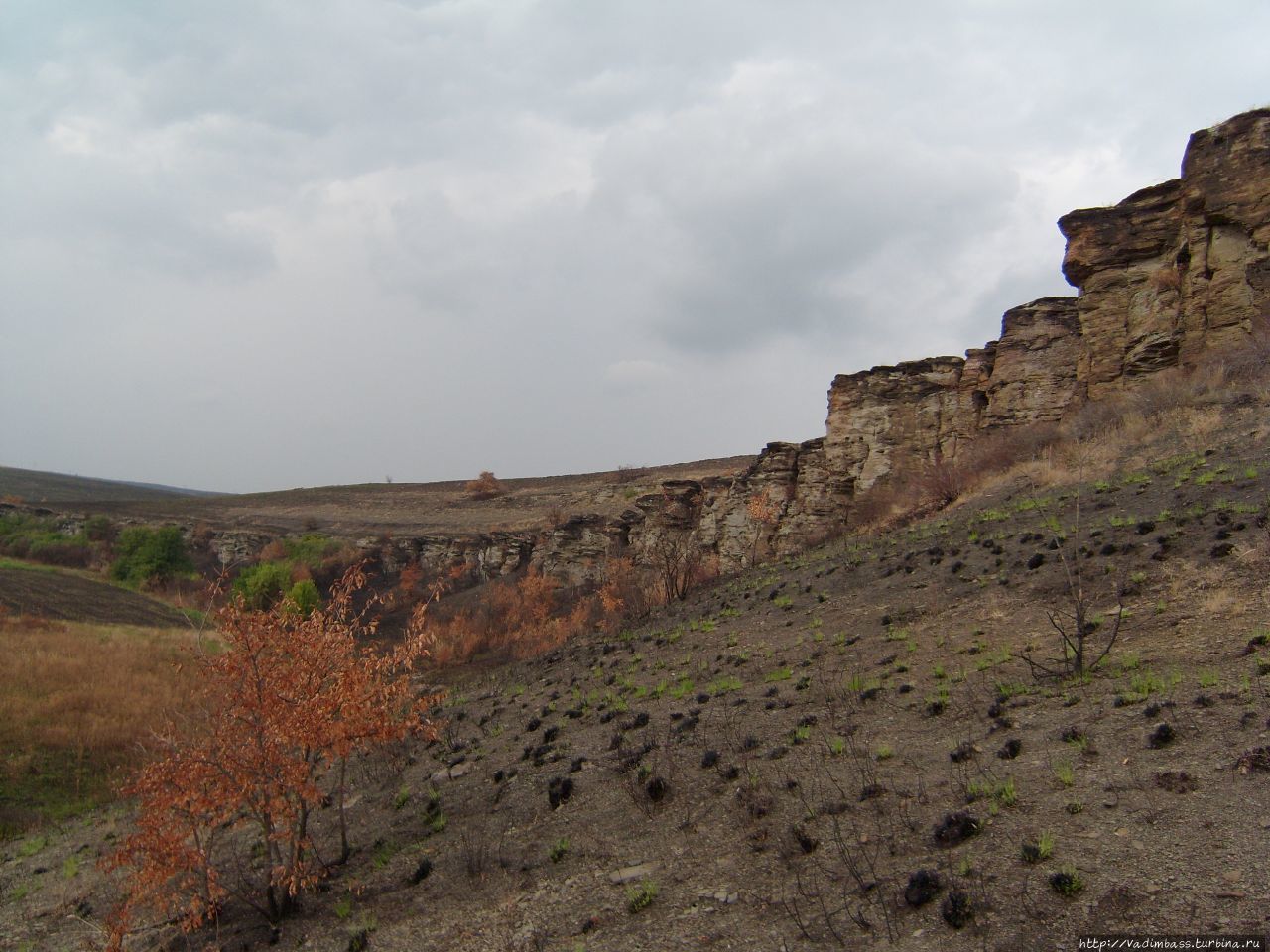 Долина каменных лиц